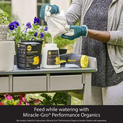 Miracle-Gro textura en polvo disoluble para alimentación rápida de plantas
