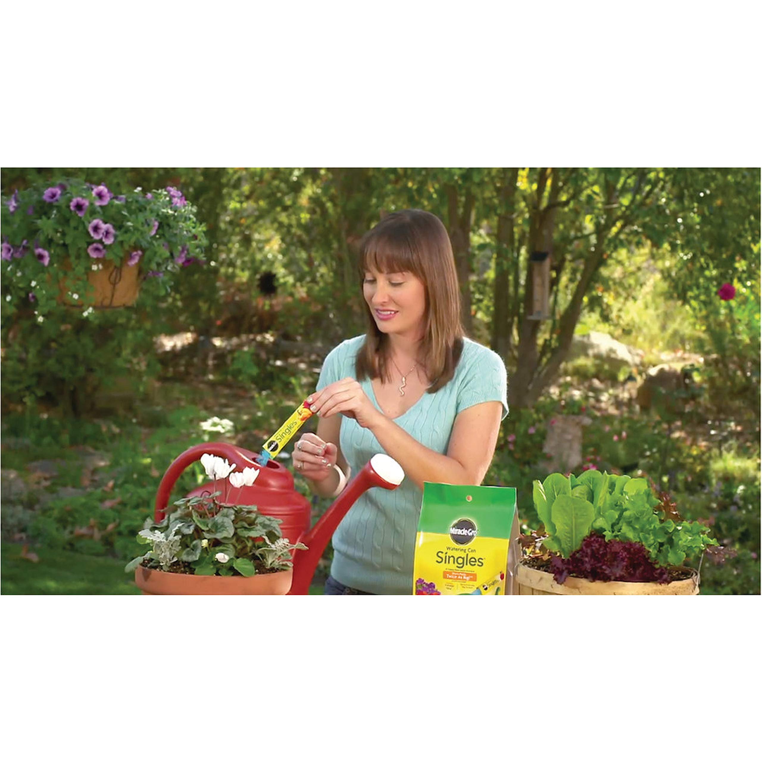 Miracle-Gro regadera vertiendo mezcla sobre plantas en maceta, alimentación instantánea