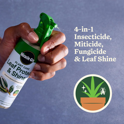 Miracle-Gro conjunto lado a lado muestra tamaño real de cada producto