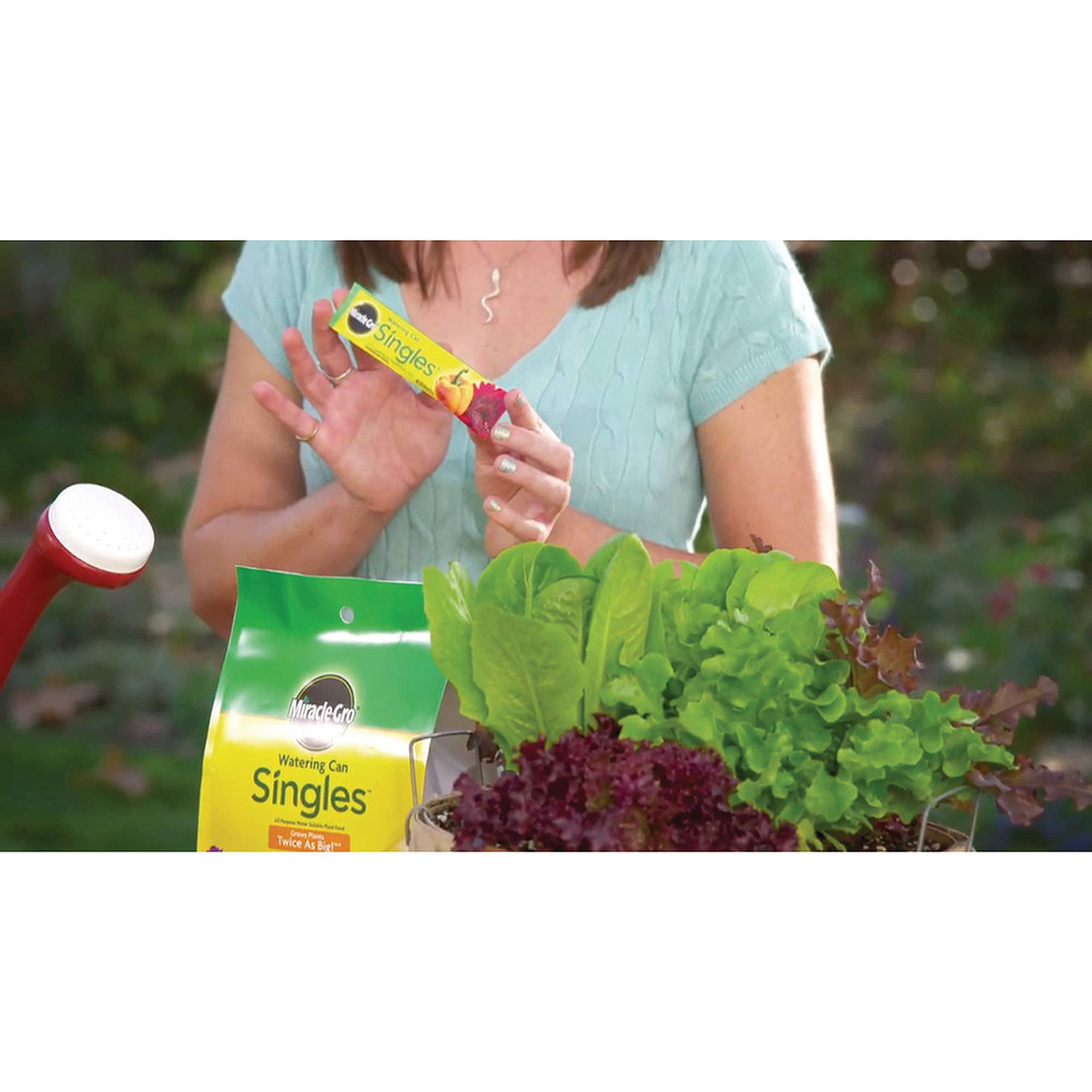 Miracle-Gro sobre abierto con polvo soluble listo para mezclar en regadera