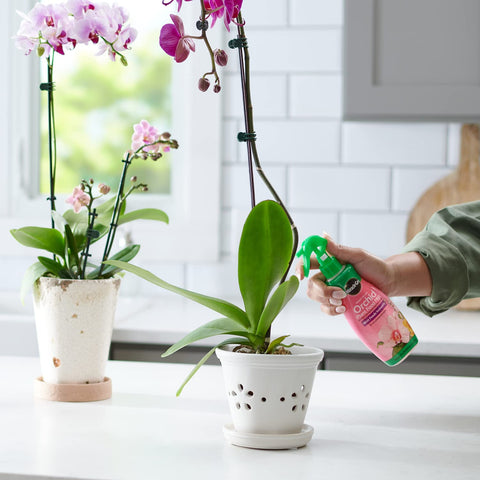 Miracle-Gro raíces y sustrato húmedo destacando mejor absorción de nutrientes
