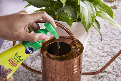 Miracle-Gro tamaño de la botella junto a una planta para escala práctica