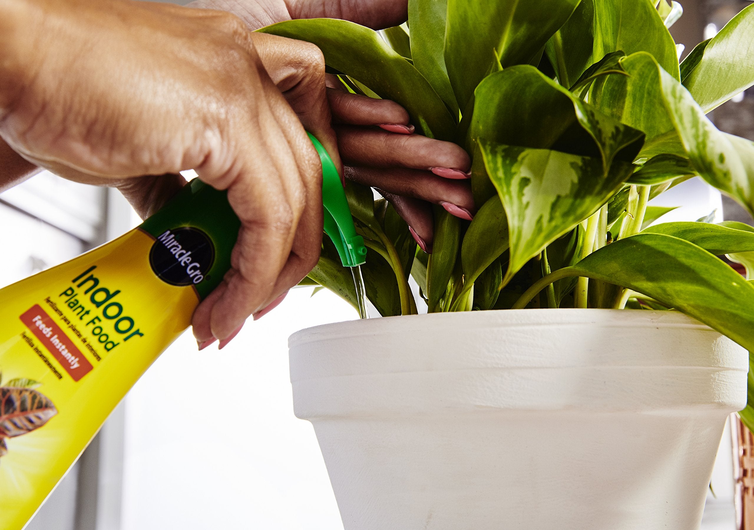 Miracle-Gro textura líquida en gota resaltando fácil absorción