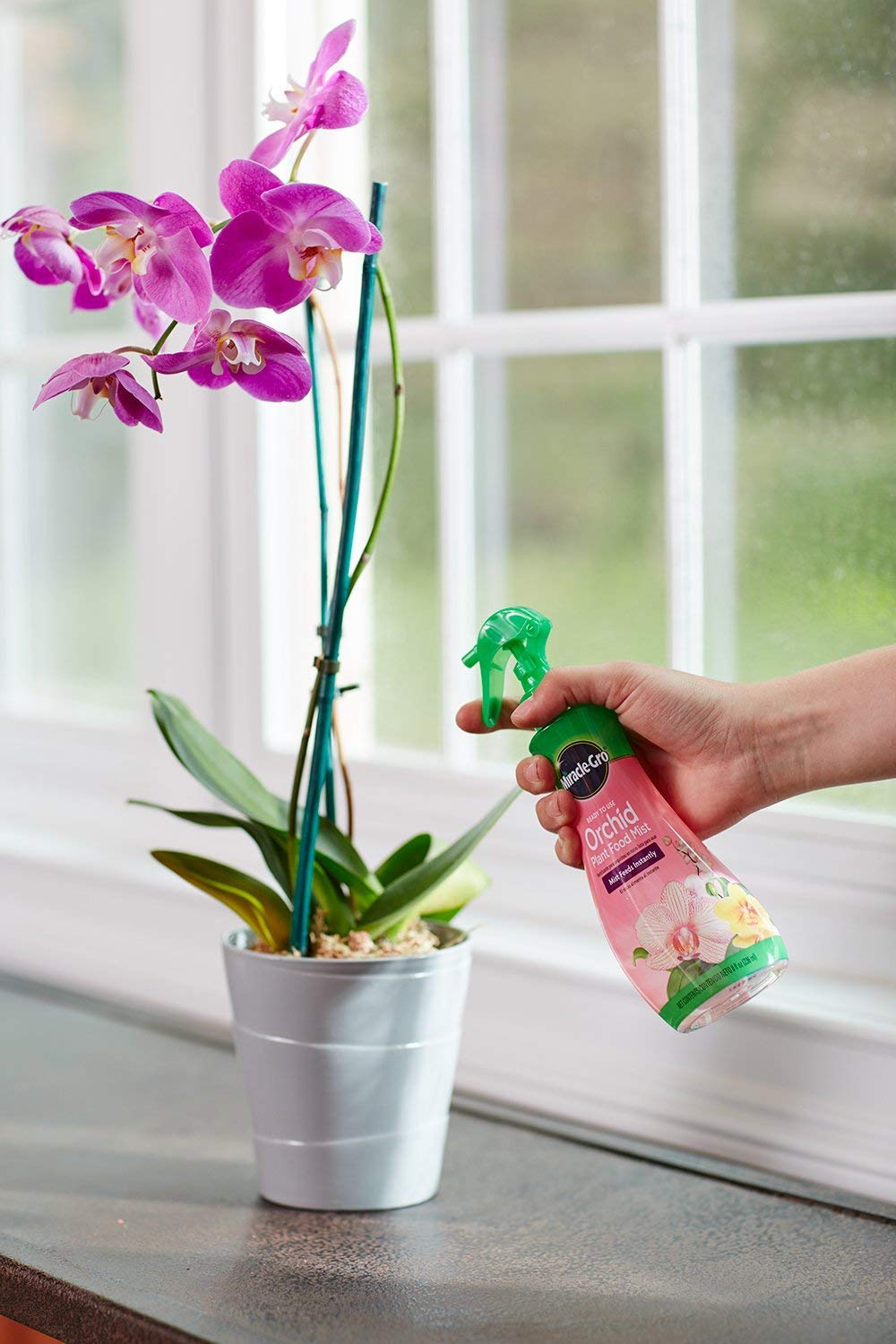 Miracle-Gro niebla sobre hoja mostrando nutrición y humedad instantánea