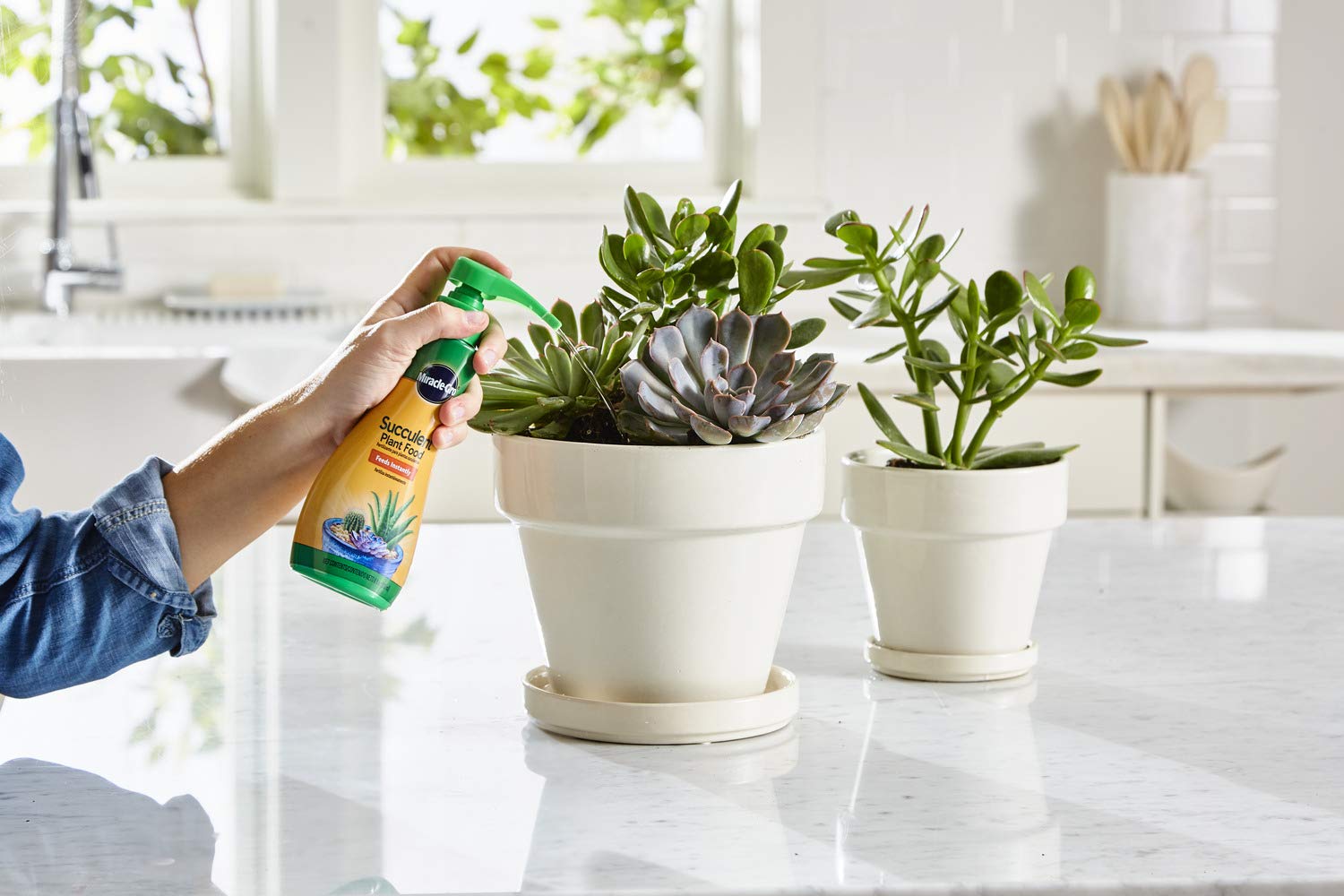 Miracle-Gro botella con dosificador listo para aplicar directamente al sustrato