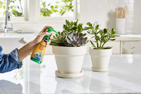 Miracle-Gro botella con dosificador listo para aplicar directamente al sustrato
