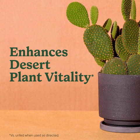 Miracle-Gro mezcla en maceta con cactus promoviendo crecimiento saludable