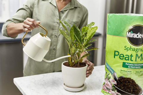 Miracle-Gro uso en maceta interior ayudando a reducir frecuencia de riego