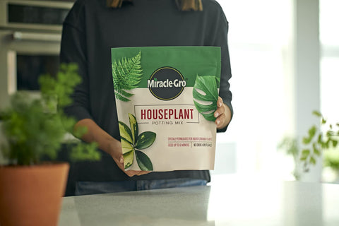 Miracle-Gro mezcla en maceta con monstera, favorece raíces saludables