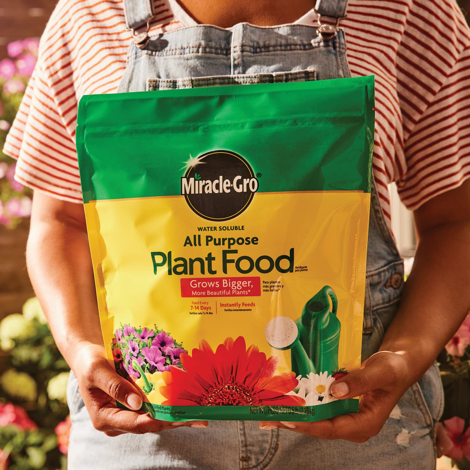 Miracle-Gro aplicando en maceta con regadera para nutrir raíces eficazmente