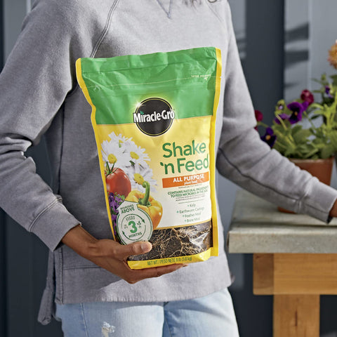 Miracle-Gro aplicado en maceta demostrando nutrición para plantas interiores