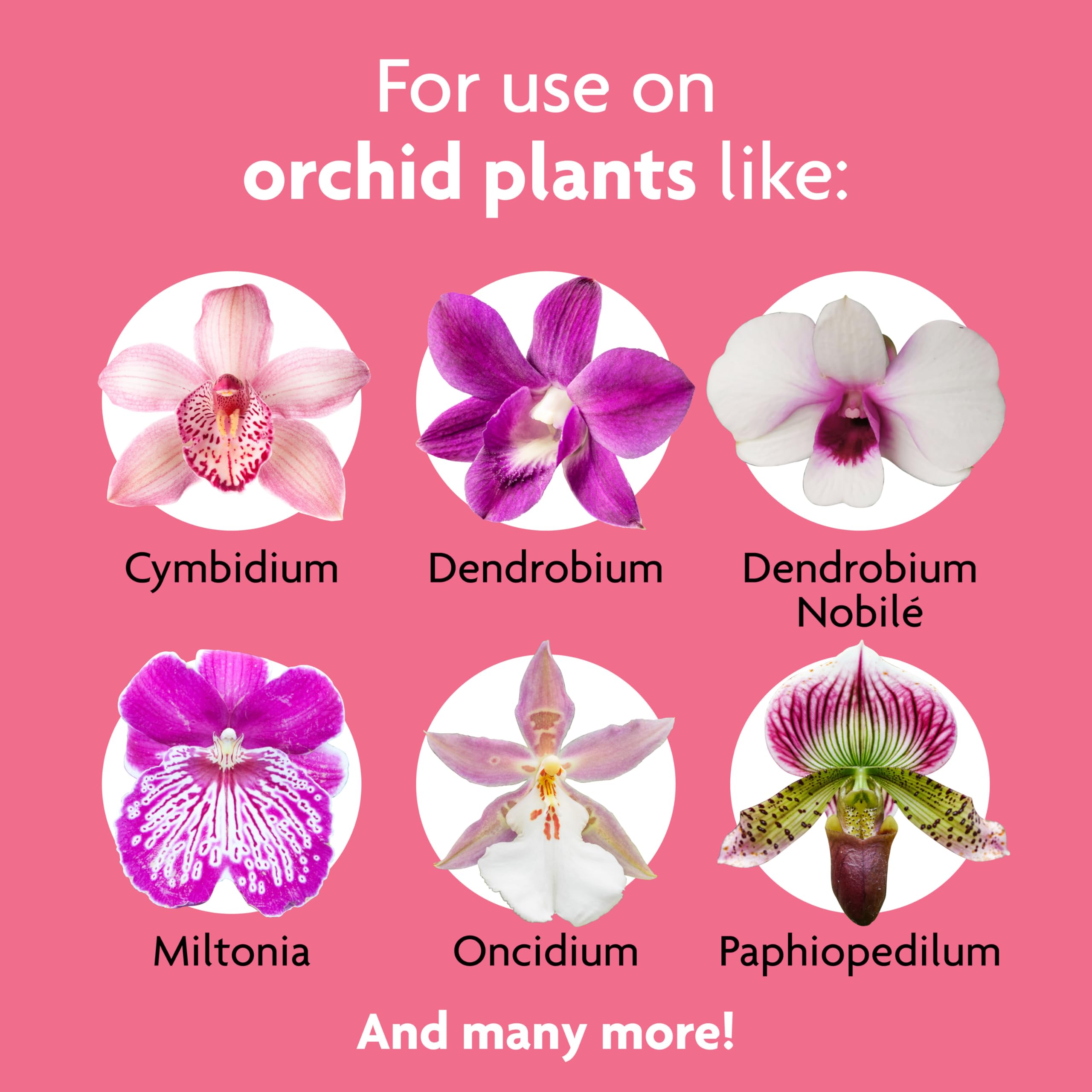 Miracle-Gro uso sobre orquídea interior perfeccionando salud y aspecto