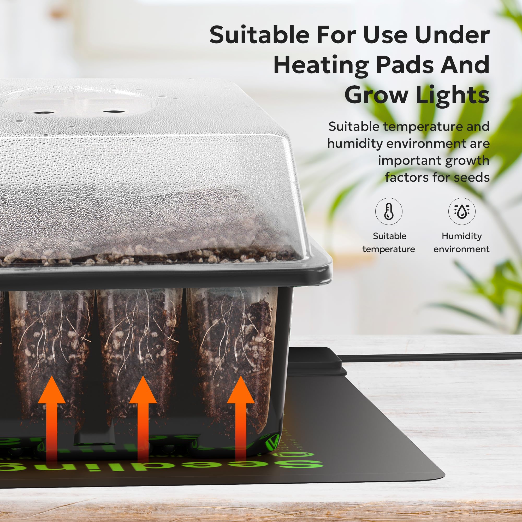 MIXC detalle de celdas con textura para retener sustrato, mejora enraizamiento