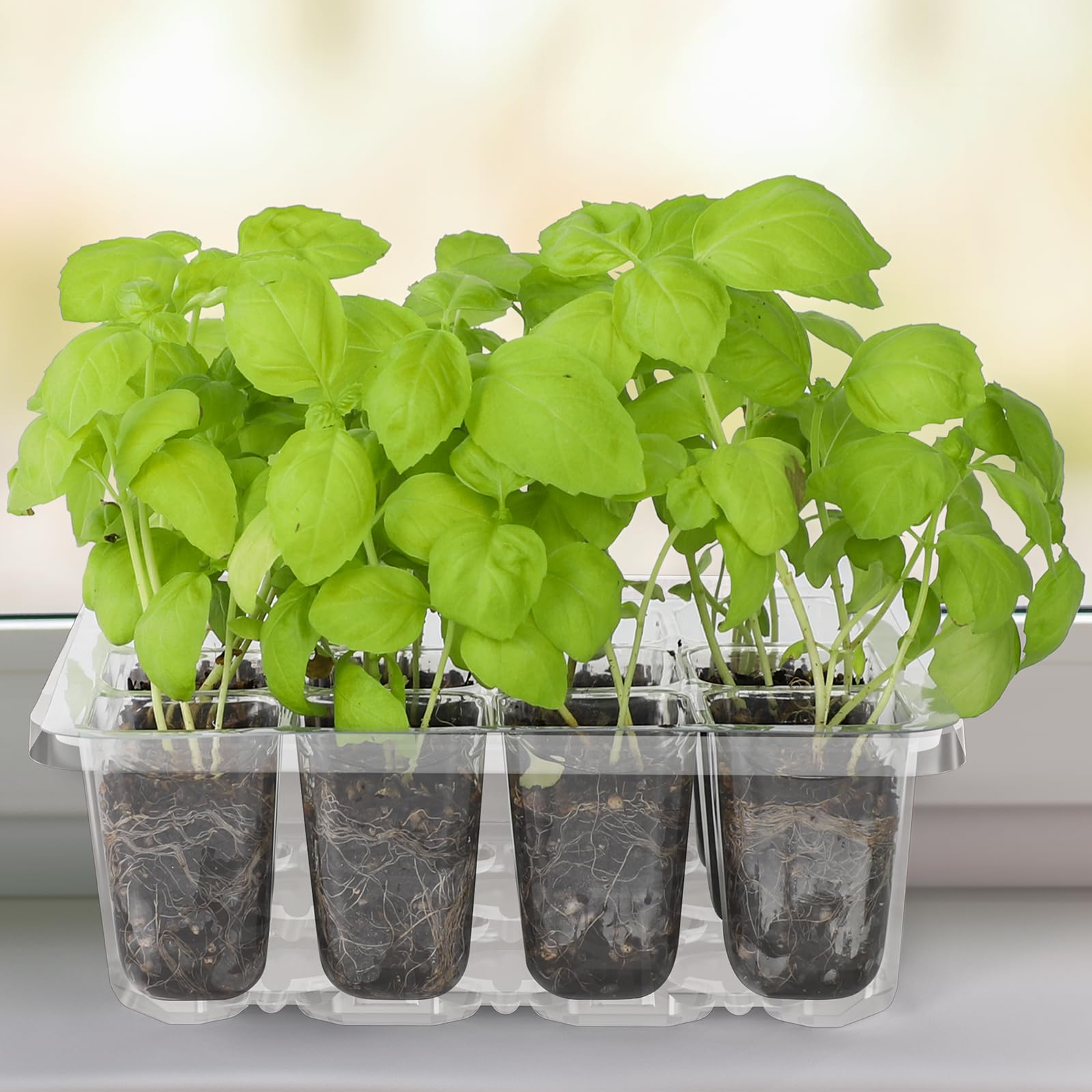 MIXC etiquetas de cultivo en bandeja organizan variedades fácilmente