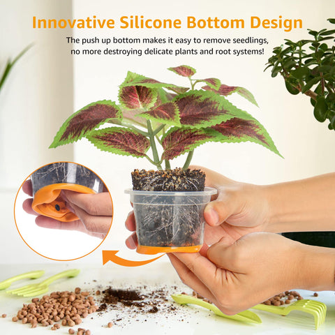 MIXC pared transparente con raíces visibles para monitorizar crecimiento