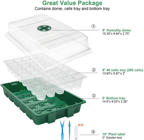 MIXC plántulas emergentes dentro del kit mostrando germinación uniforme
