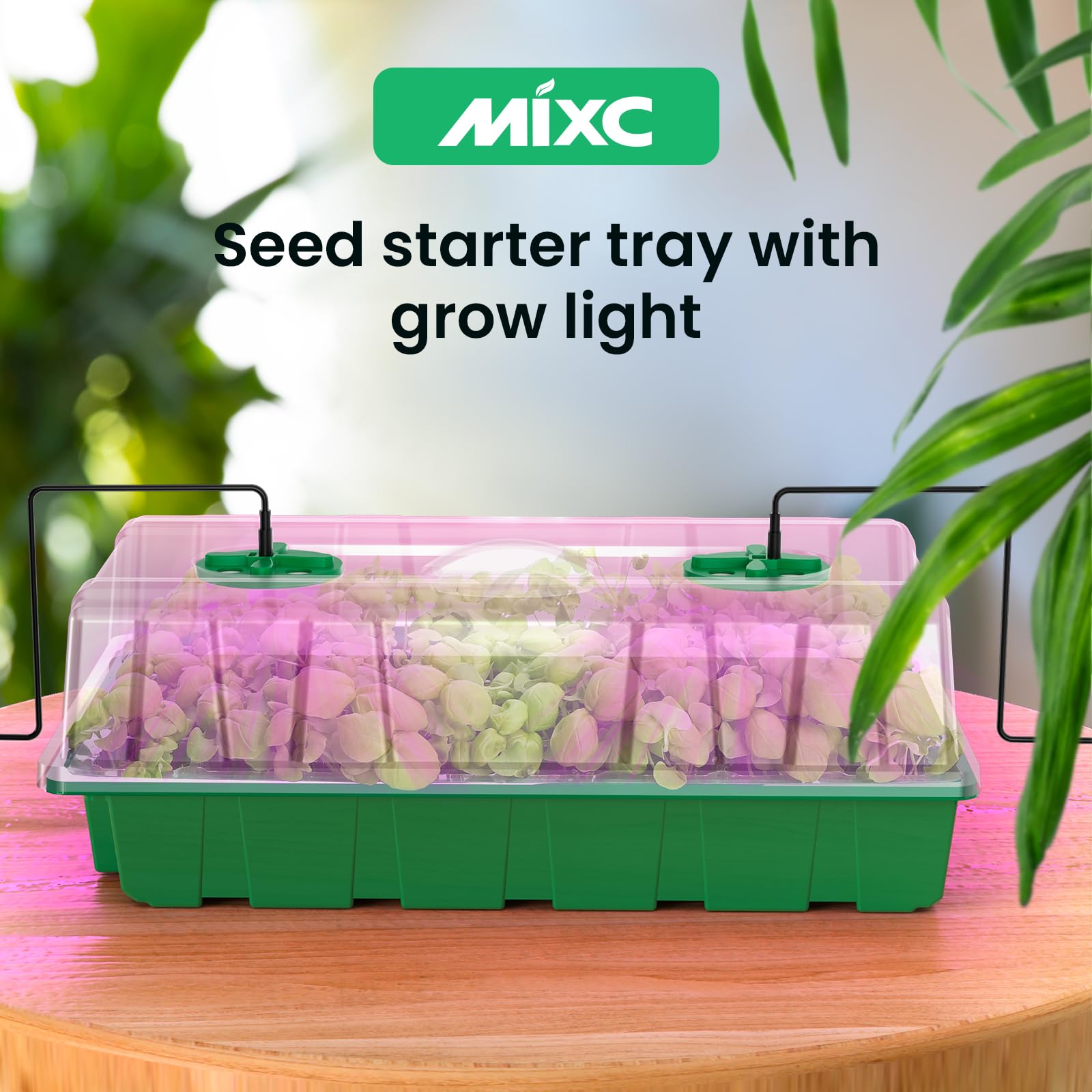 MIXC semilleros en uso sobre mesa de interior junto a plantas, solución práctica para hogar
