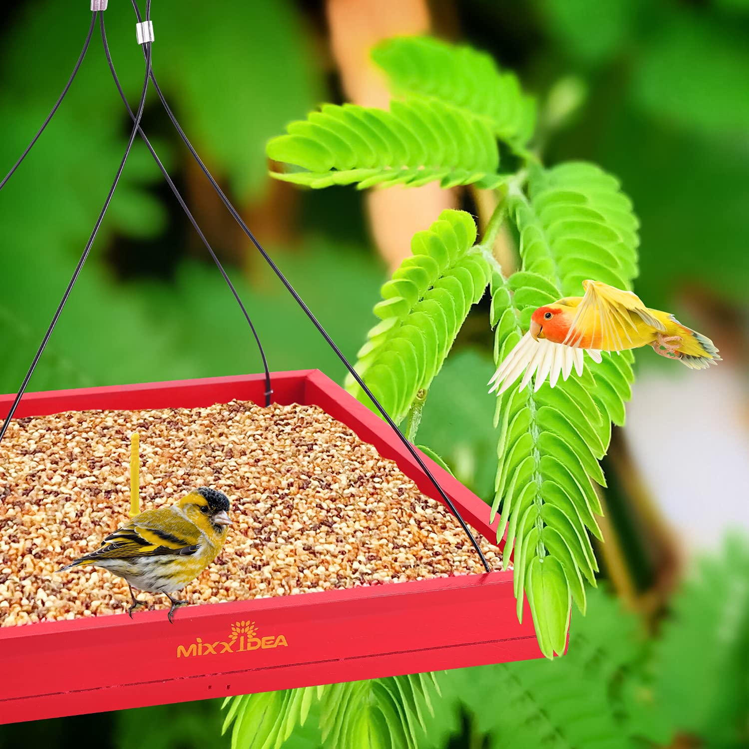 MIXXIDEA comedero instalado en jardín para decorar y atraer aves