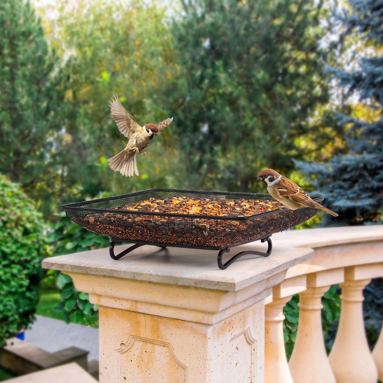 MIXXIDEA bandeja en patio con aves y ardilla atraídas por semillas