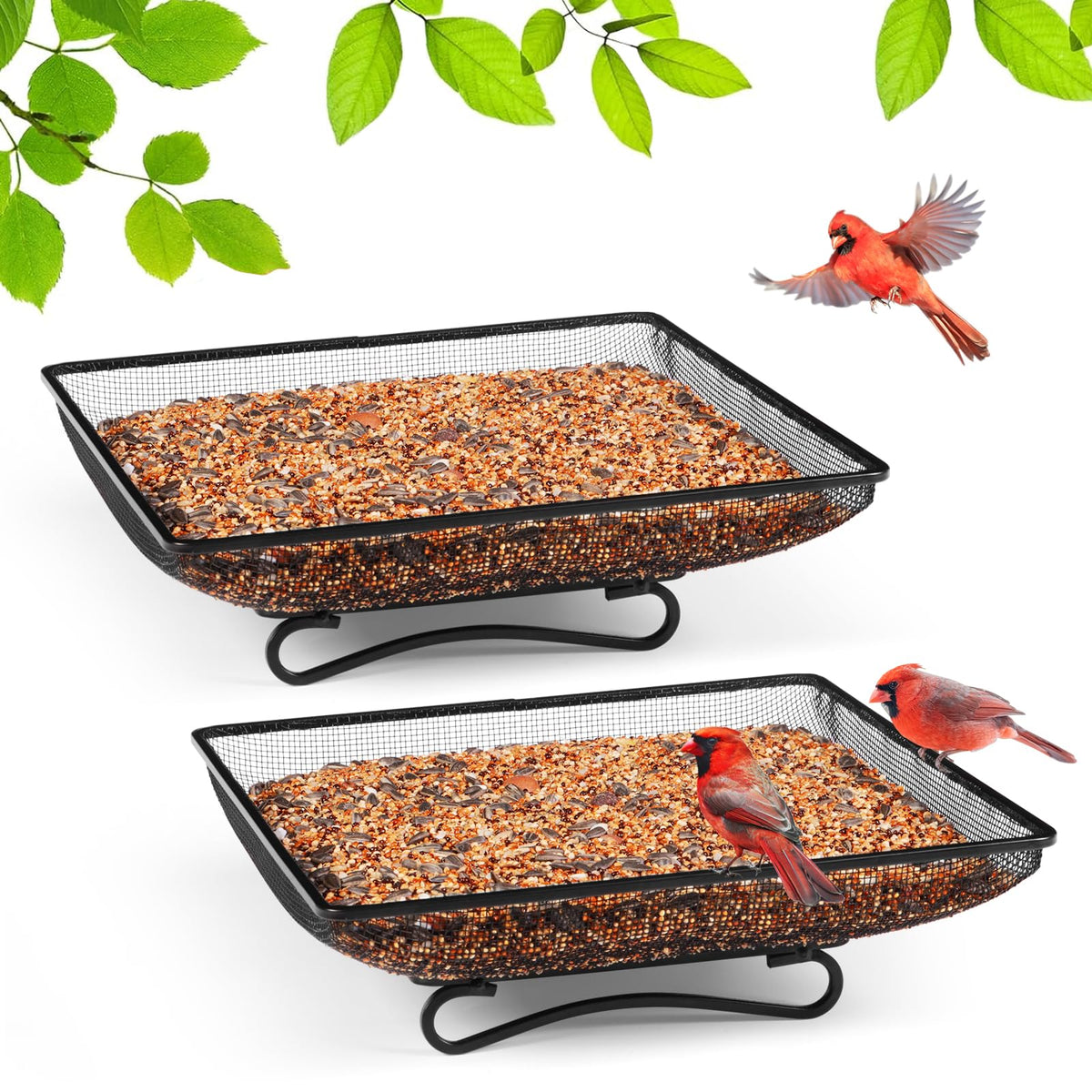 MIXXIDEA bandeja frontal mostrando diseño estable y acceso para aves