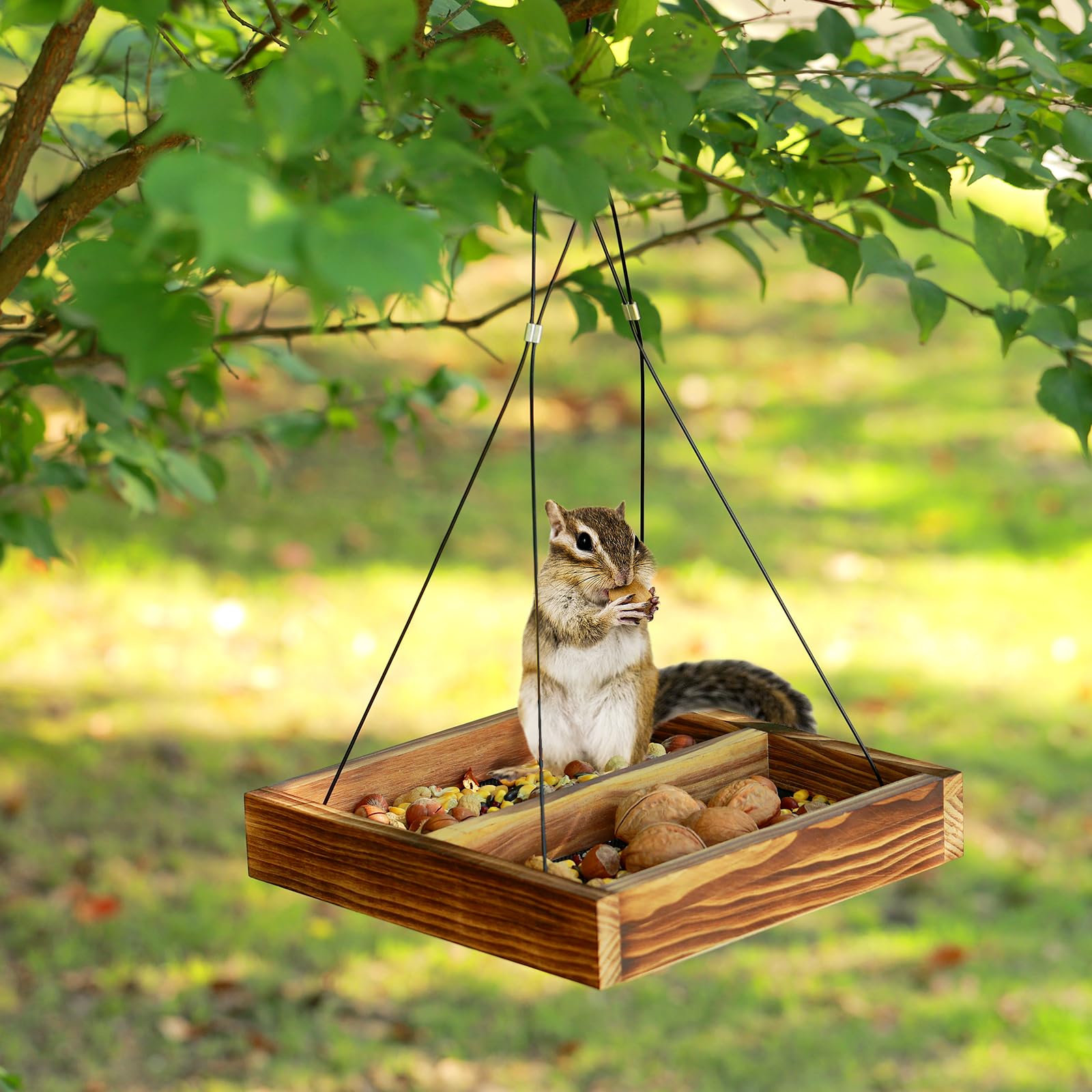 MIXXIDEA plataforma con semillas lista para alimentar aves