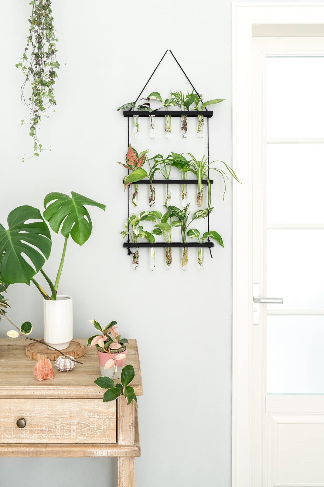 Mkono primer plano de tubos de vidrio transparente con raíces visibles para monitoreo