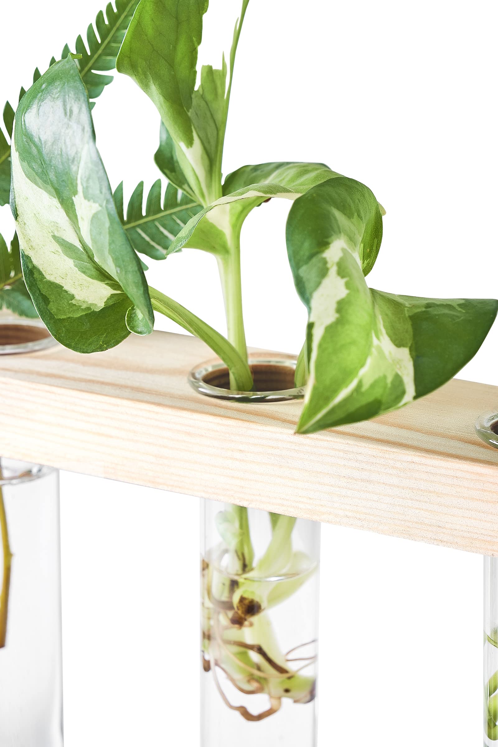 Mkono detalle de la madera beige del soporte, acabado duradero y estética neutral