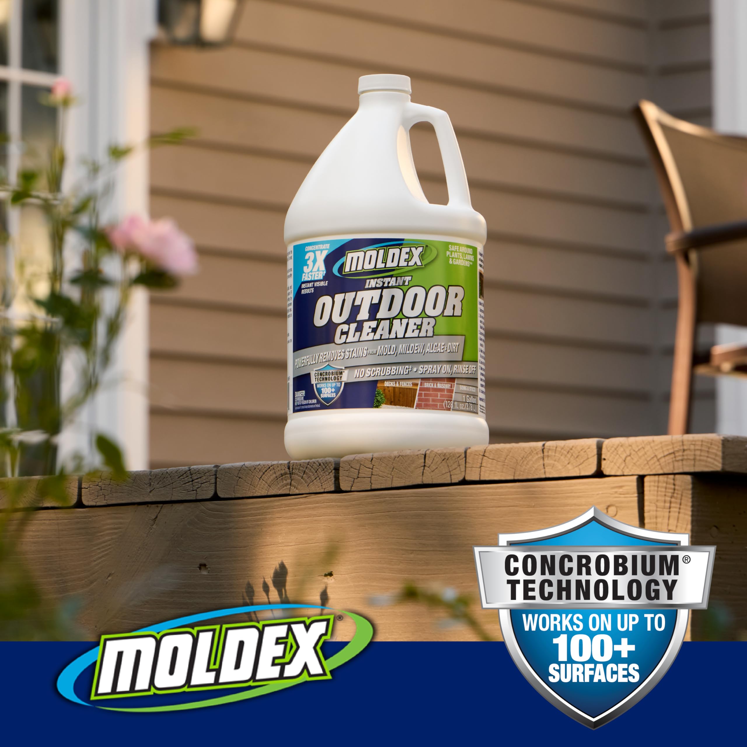 Moldex escenario exterior con casa y patio después de limpiar
