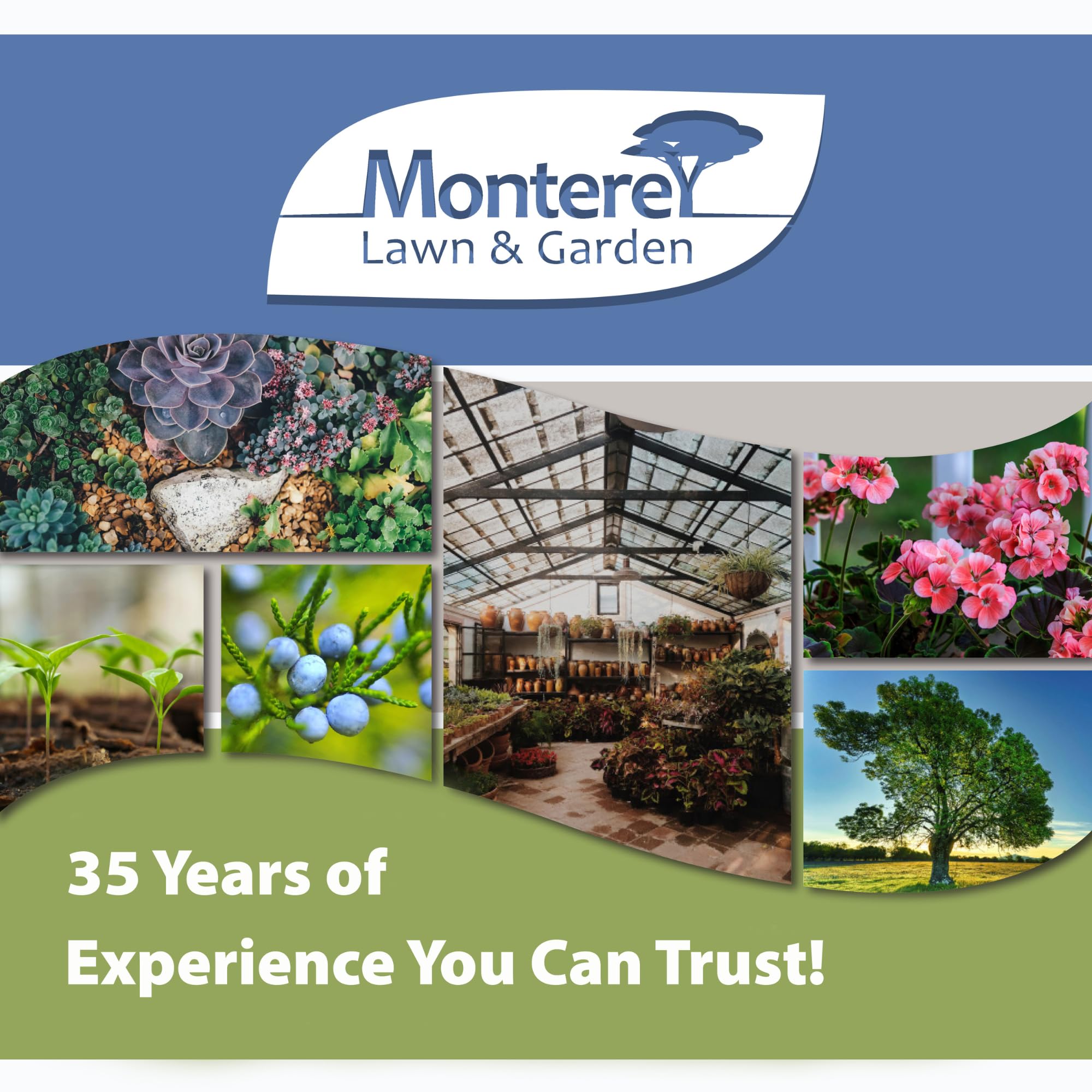 Monterey B.t. uso en plantas ornamentales, protege follaje sin dañar insectos beneficiosos