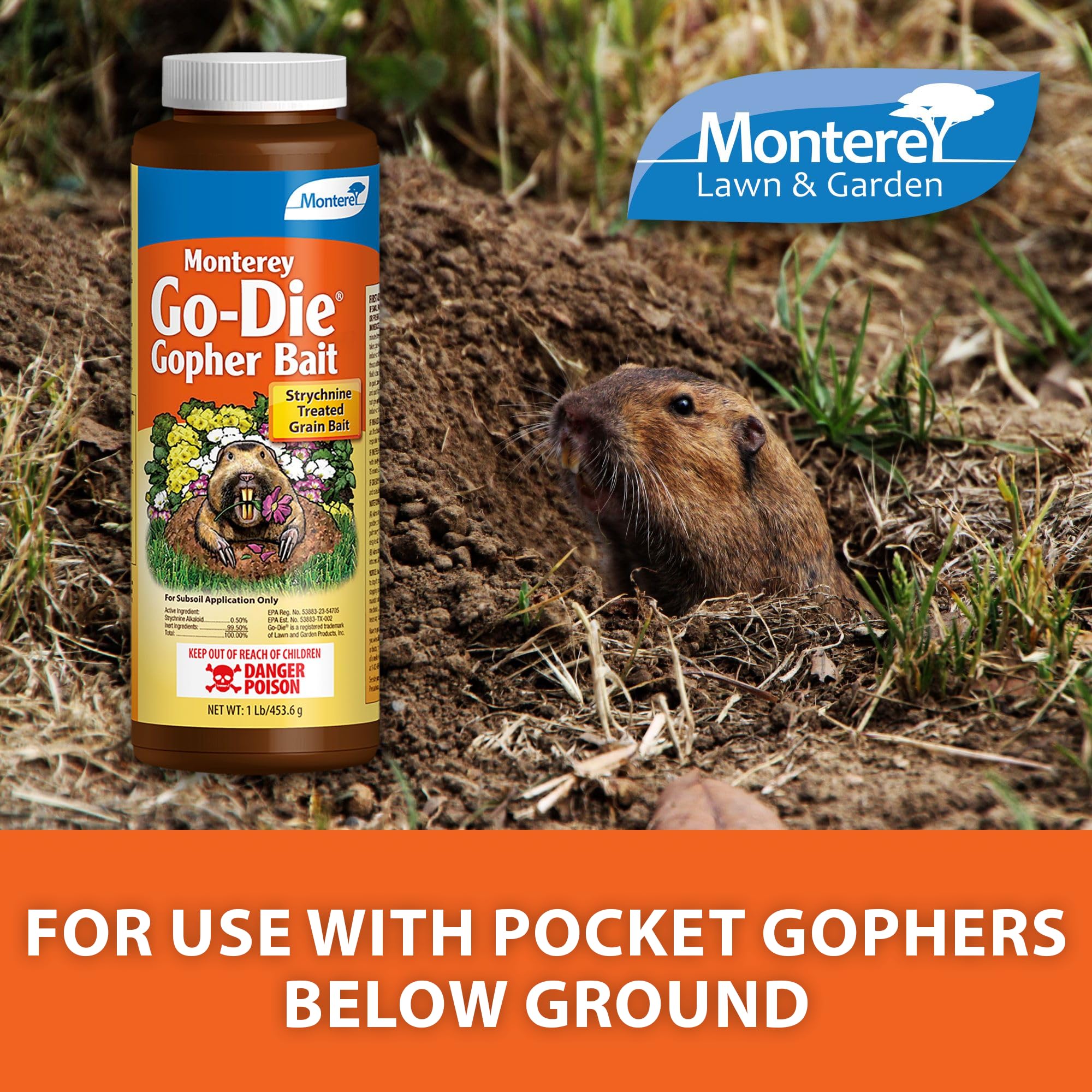 Detalle de textura de granos de Monterey Go-DIE que facilita la ingestión por gophers