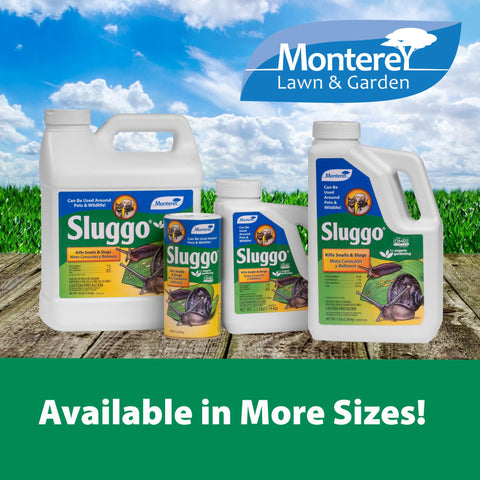 Monterey envase 2.5 lb junto a regla para comparar tamaño práctico