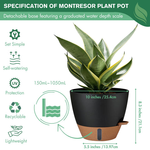 montresor comparación de tamaño 10 pulgadas para elegir planta adecuada
