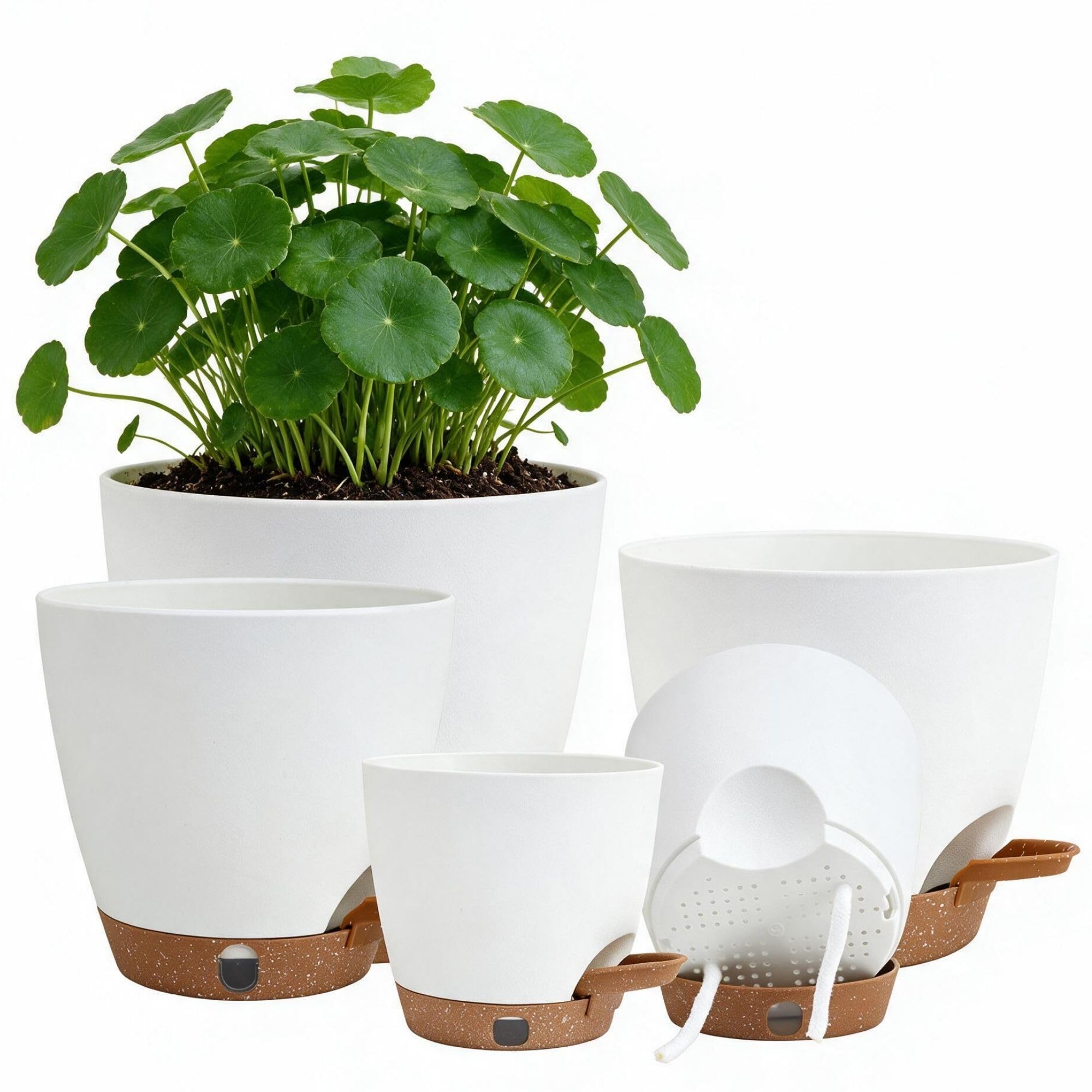montresor conjunto frontal de cinco macetas blanco moderno, orden y estilo