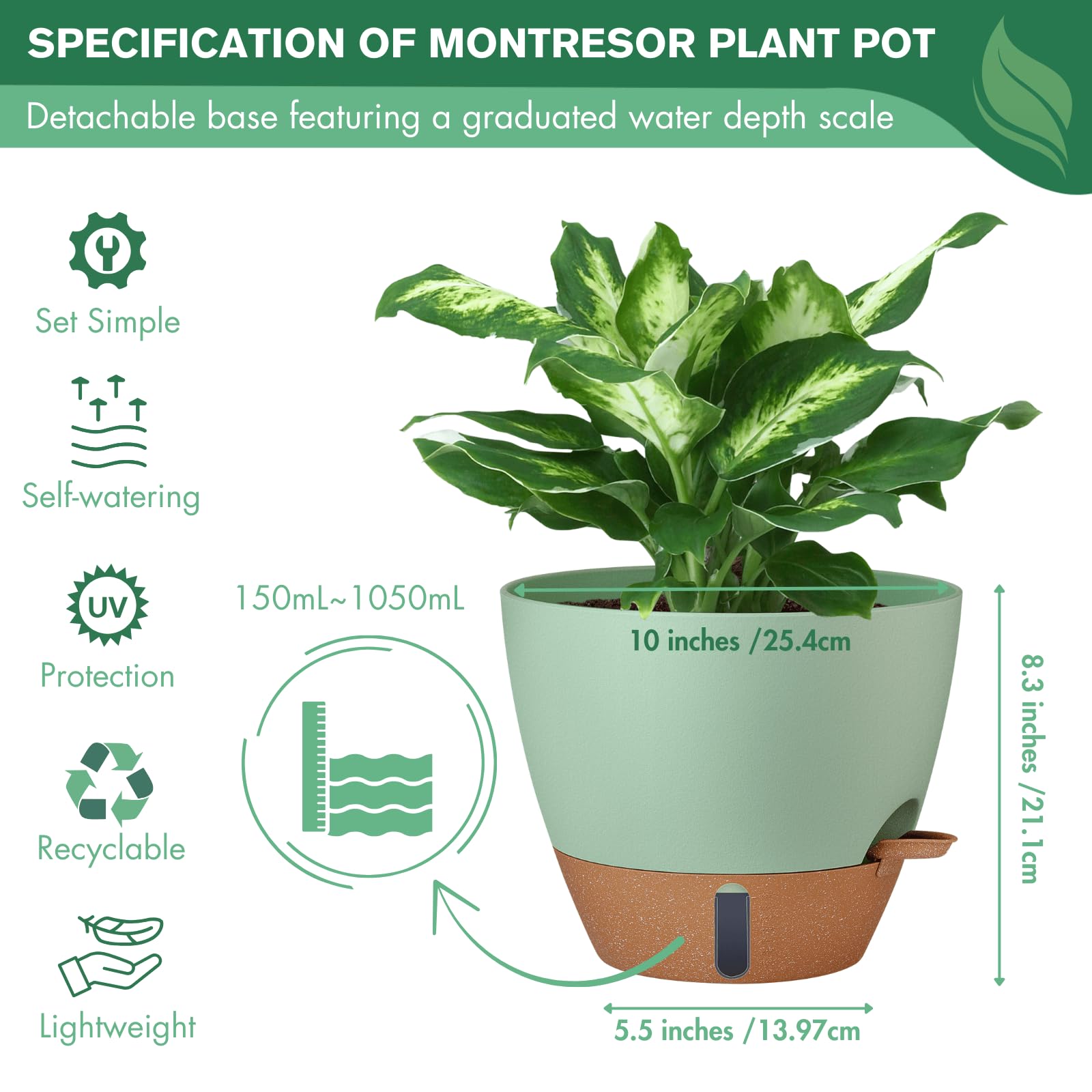 montresor maceta con planta en interior, estética neutra
