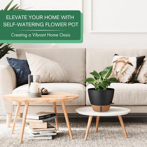 montresor maceta en uso en interior realzando plantas y ahorro de riego