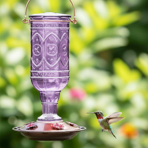 More Birds comedero en jardín entre flores para atraer colibríes naturalmente