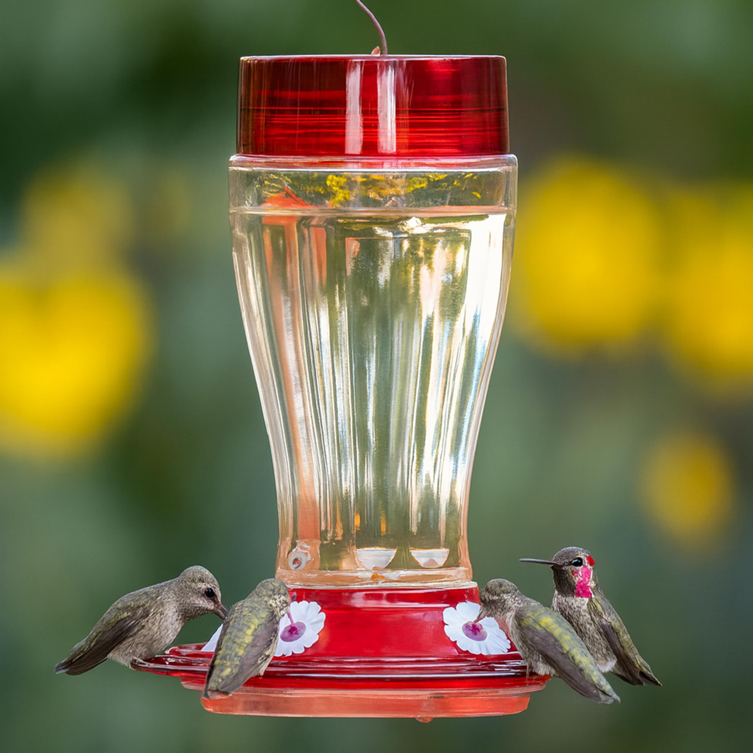 More Birds base desmontable mostrando acceso completo a los puertos