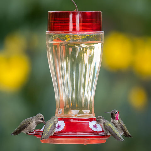 More Birds base desmontable mostrando acceso completo a los puertos