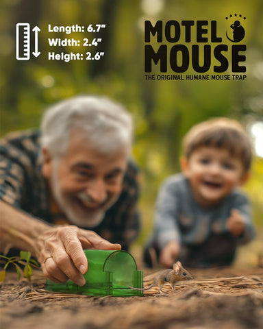 Motel Mouse trampa colocada en cocina demostrando uso seguro en hogar