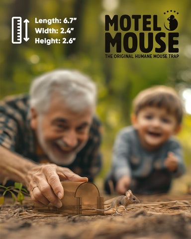 Motel Mouse cepillo de limpieza y guía incluidos para mantenimiento fácil y eficaz