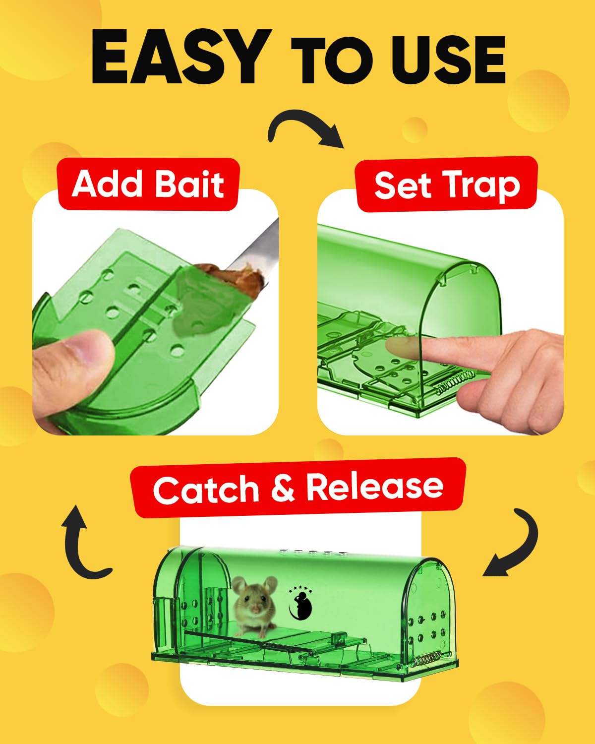 Motel Mouse trampa colocada en cocina demostrando uso seguro cerca de comida