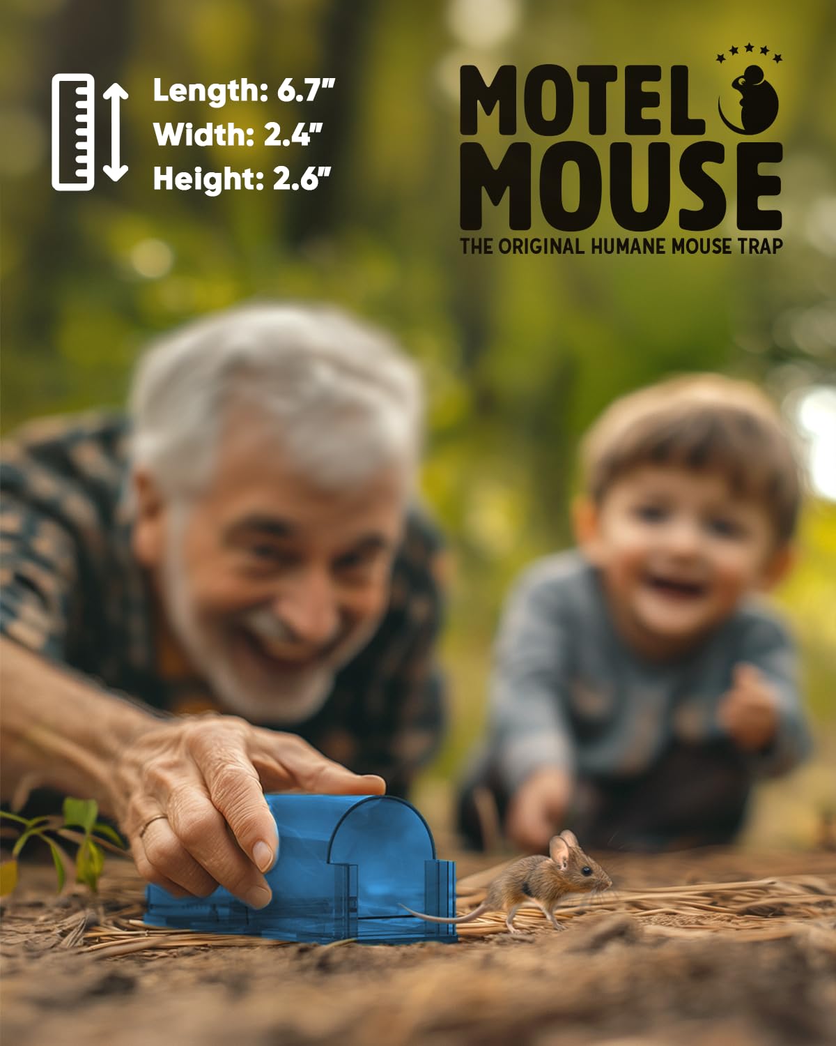 Motel Mouse comparación de tamaño junto a una regla para escala práctica