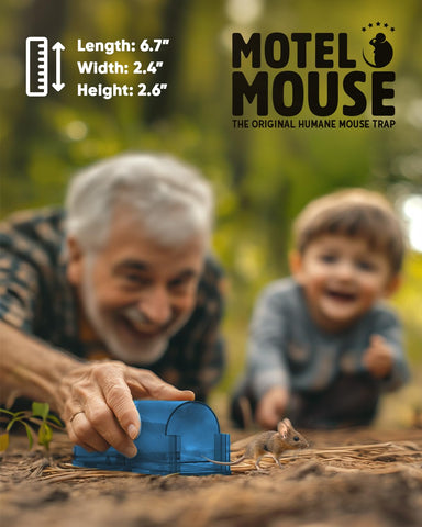 Motel Mouse comparación de tamaño junto a una regla para escala práctica