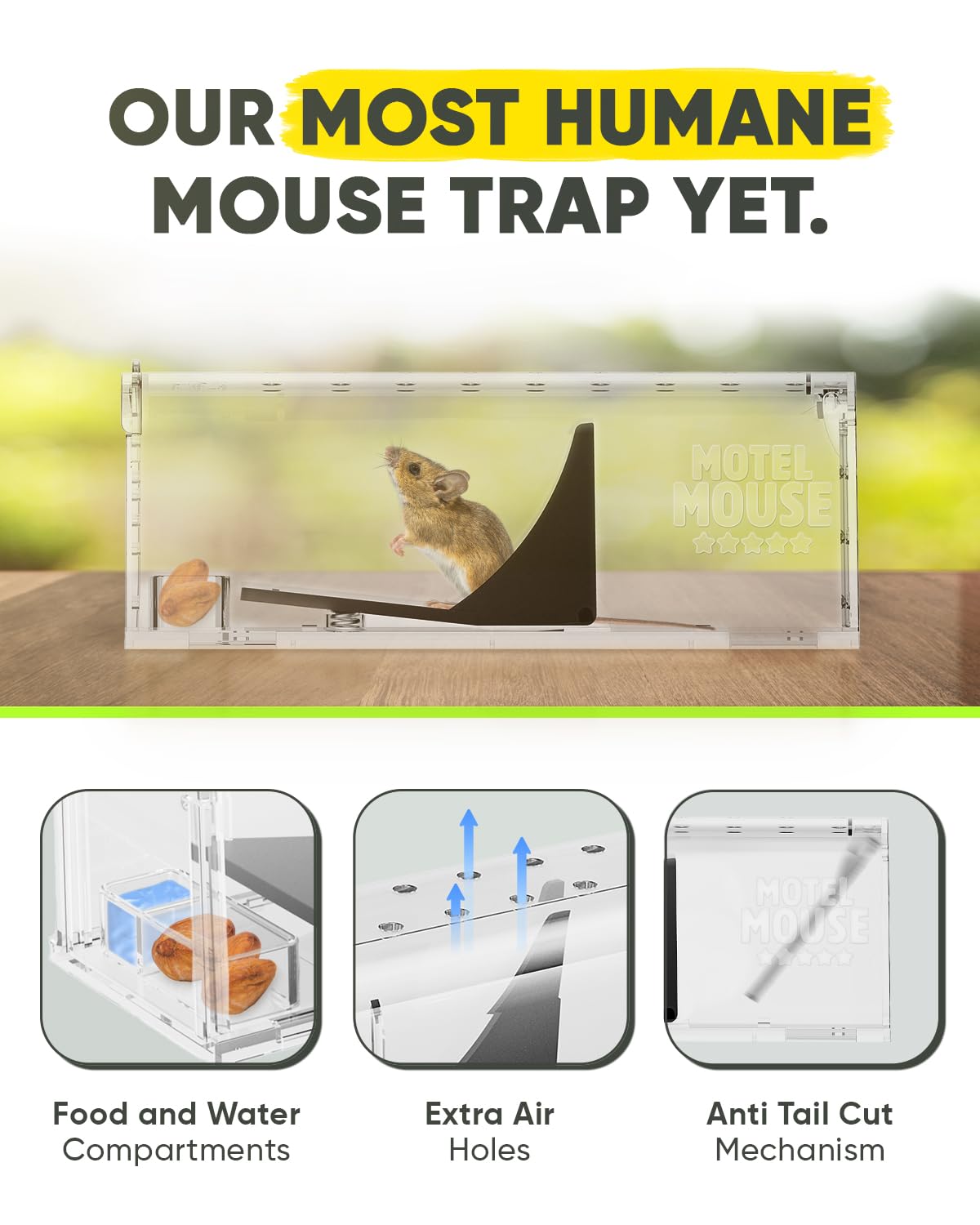 Motel Mouse interior abierto con ventilación y espacio para confort