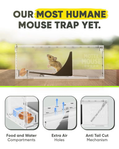 Motel Mouse interior abierto con ventilación y espacio para confort