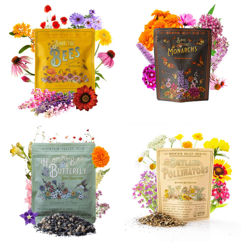 Mountain Valley Seed Company comparación de tamaño con mano para referencia de cantidad