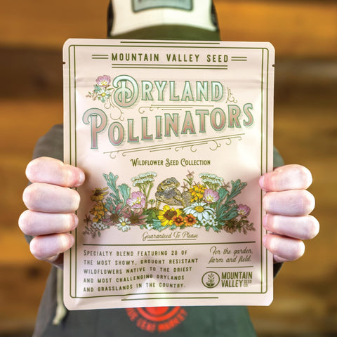 Mountain Valley Seed Company primer plano de semillas mostrando textura y variedad