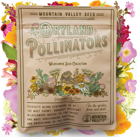Mountain Valley Seed Company paquete frontal resellable que muestra la mezcla Dryland