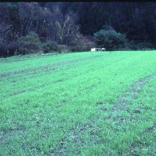 Mountain Valley Seed Company persona sembrando a mano: instalación sencilla