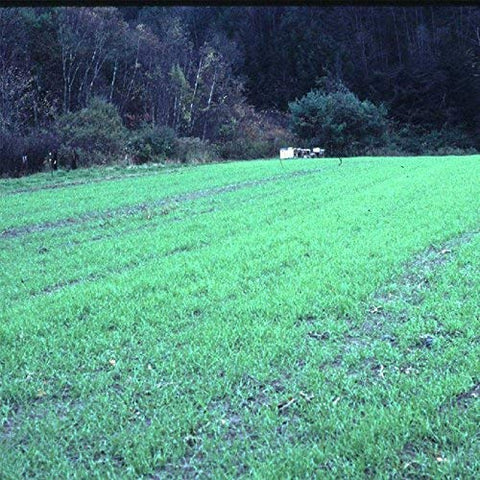 Mountain Valley Seed Company persona sembrando a mano: instalación sencilla